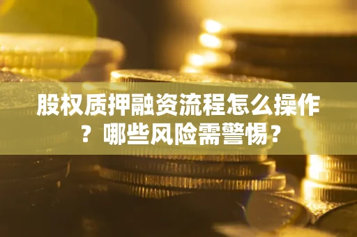 武汉股权质押融资流程怎么操作？哪些风险需警惕？