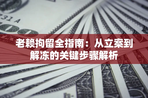 武汉老赖拘留全指南：从立案到解冻的关键步骤解析