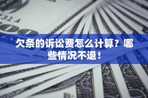 武汉欠条的诉讼费怎么计算？哪些情况不退！