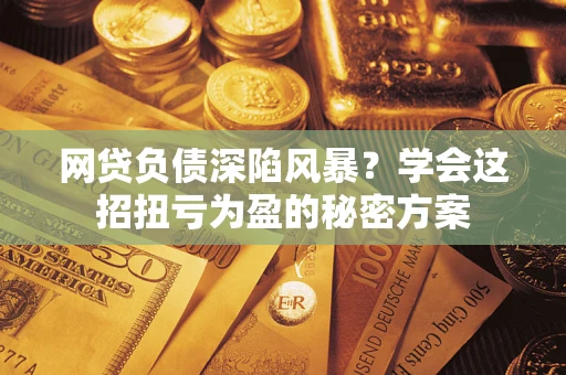 武汉网贷负债深陷风暴？学会这招扭亏为盈的秘密方案
